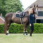 Singel QHP Ontario Schwarz