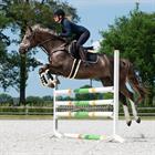 Singel QHP Ontario Schwarz