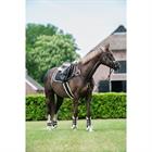 Singel QHP Ontario Schwarz