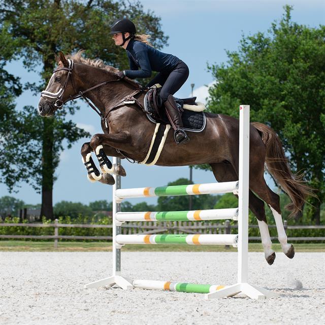 Singel QHP Ontario Schwarz