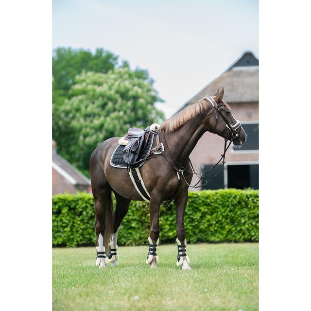 Singel QHP Ontario Schwarz