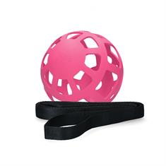 Slowfeeder Fun and Flex Hofman Rosa