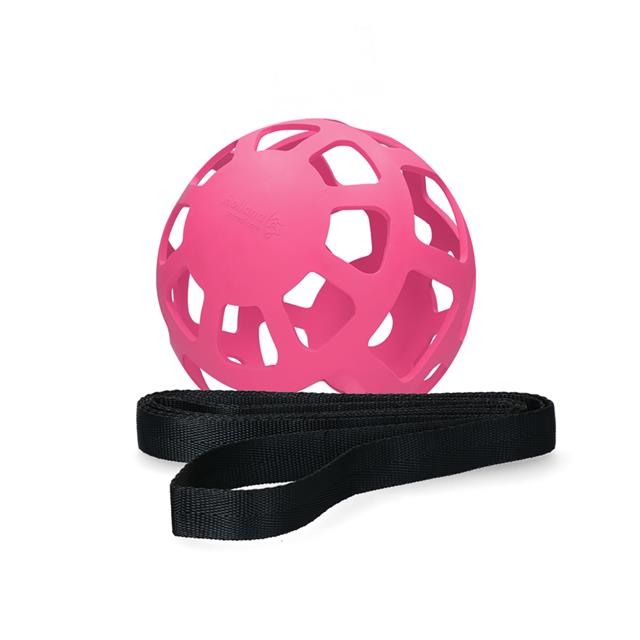 Slowfeeder Fun and Flex Hofman Rosa