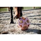 Slowfeeder Spiel-& Futterball Relax Kentucky Rosa