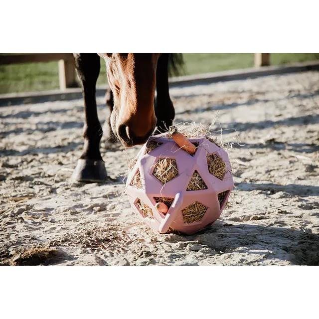 Slowfeeder Spiel-& Futterball Relax Kentucky Rosa