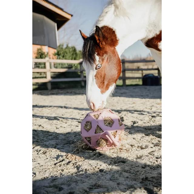 Slowfeeder Spiel-& Futterball Relax Kentucky Rosa