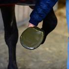 Sohlentape Hufverband 5er-Pack Kentucky Schwarz