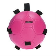 Spielball Fun Play Ball Maximus Excellent Rosa