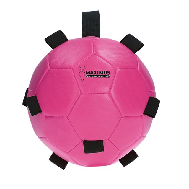 Spielball Fun Play Ball Maximus Excellent Rosa