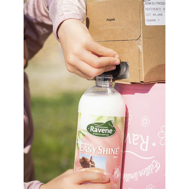 Spray Easy Shine Ravene Sonstige