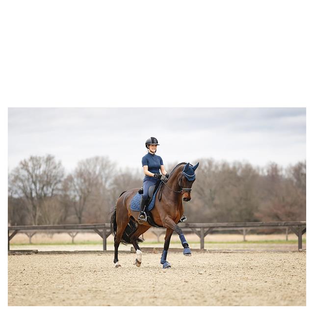 Springglocken 3C ANKY Dunkelblau