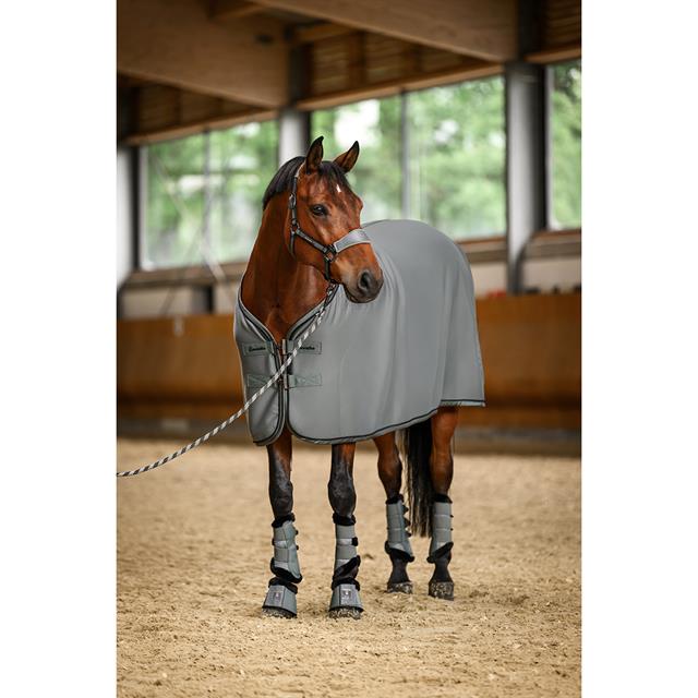 Springglocken CAVALJodi Cavallo Grün