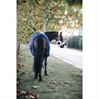 Stalldecke 400 g Kentucky Dunkelblau
