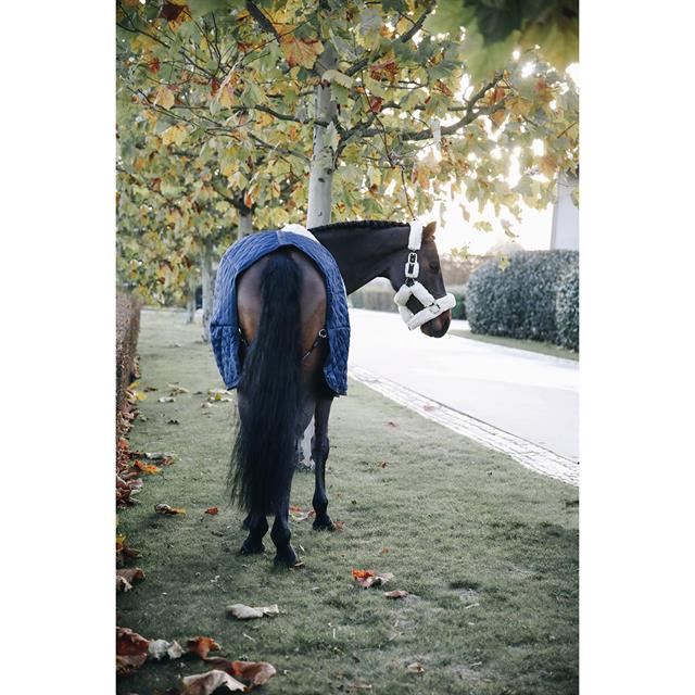 Stalldecke 400 g Kentucky Dunkelblau