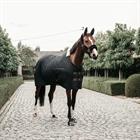 Stalldecke 400 g Kentucky Schwarz