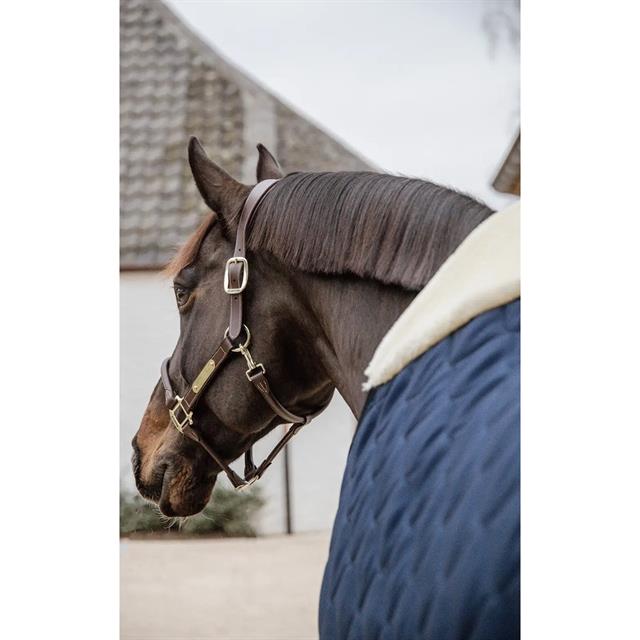 Stalldecke Comfort 200 g Kentucky Dunkelblau