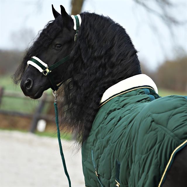 Stalldecke Friesian Horse By HORSEGEAR Dunkelgrün