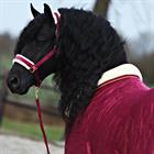 Stalldecke Friesian Horse By HORSEGEAR Dunkelrot