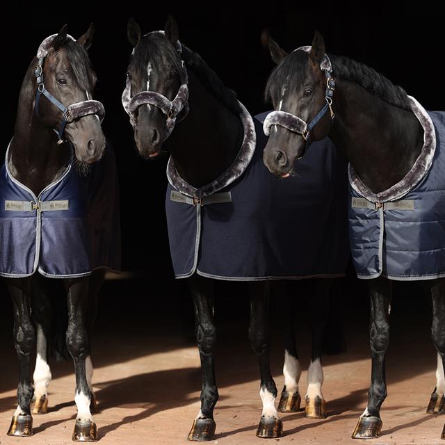 Stalldecke Show-Line 150 g Bucas Dunkelblau-Grau