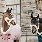 Stalldecke Velvet 160gr Kentucky Rosa
