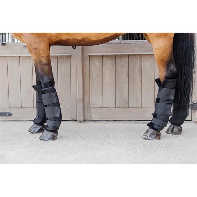 Stallgamaschen PROtect Classic Hinten Kentucky Schwarz