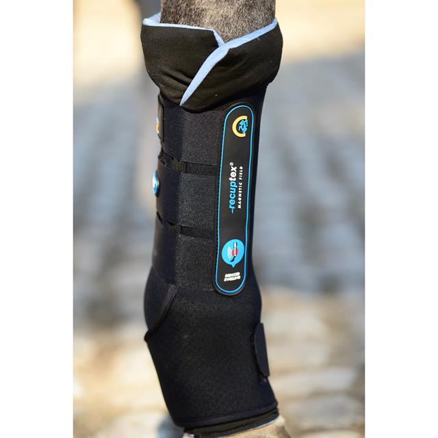 Stallgamaschen Recuptex Kentucky Schwarz