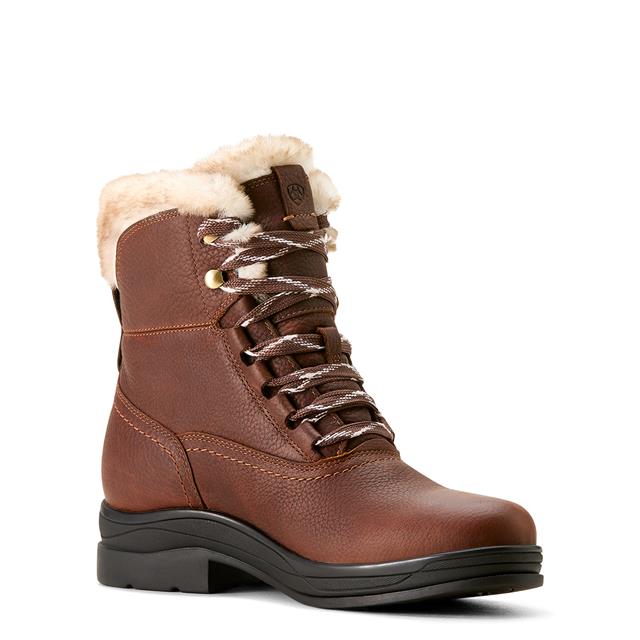 Stallschuhe Harper Sherpa Waterproof Ariat Dunkelbraun