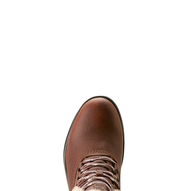 Stallschuhe Harper Sherpa Waterproof Ariat Dunkelbraun