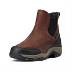 Stallschuhe Terrain Blaze H2O Ariat Dunkelbraun