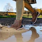 Stallschuhe Trex Zip LeMieux Braun