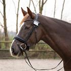 Startnummerhalter QHP Schwarz
