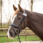 Startnummerhalter Ricki QHP Braun-Gold