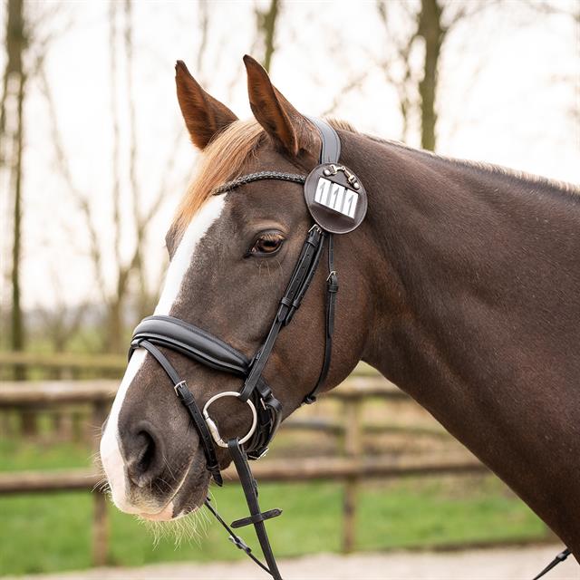 Startnummerhalter Ricki QHP Braun-Gold