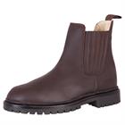 Stiefeletten Alaska II Winter BR Braun