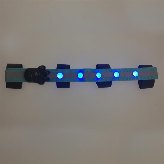 Stirnriemen LED Epplejeck Blau