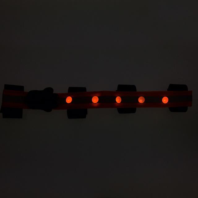 Stirnriemen LED Epplejeck Orange