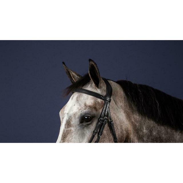 Stirnriemen Recht New English Collection Dy'on Schwarz