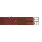 Stollengurt Eastbourne BR Braun