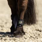 Streichkappen Mini Horse BR Lila