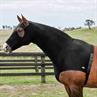 Stretch Hood WeatherBeeta With Zip Schwarz