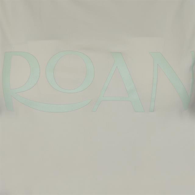 T-Shirt Cycle Four ROAN Hellgrün