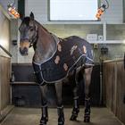 Therapiedecke Conductive Magnapy LeMieux Schwarz
