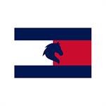 tommy-hilfiger-equestrian