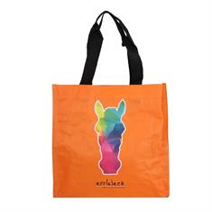 Tragetasche Mini EJRainbow Head Epplejeck Orange