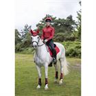 Trainings-T-Shirt Young Rider Baselayer LeMieux Rot