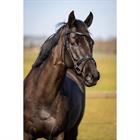 Trainings-Trense HGWellington HORSEGEAR Schwarz