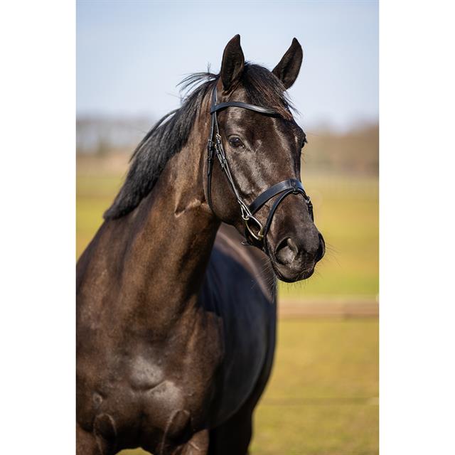 Trainings-Trense HGWellington HORSEGEAR Schwarz