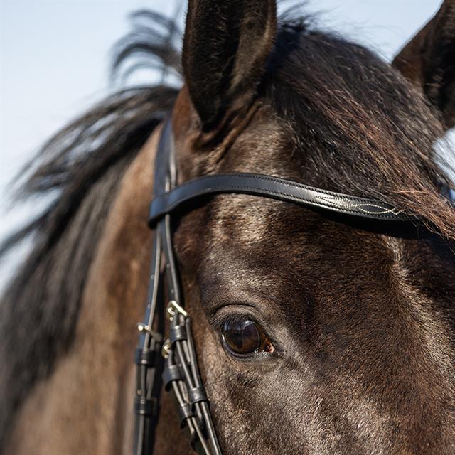 Trainings-Trense HGWellington HORSEGEAR Schwarz