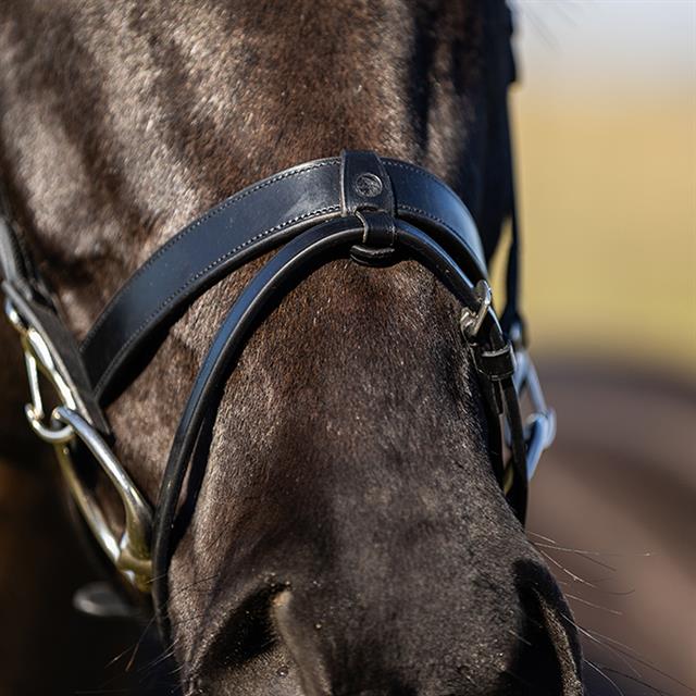 Trainings-Trense HGWellington HORSEGEAR Schwarz