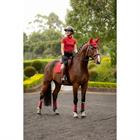 Trainingsshirt Mia Mesh Baselayer LeMieux Rot